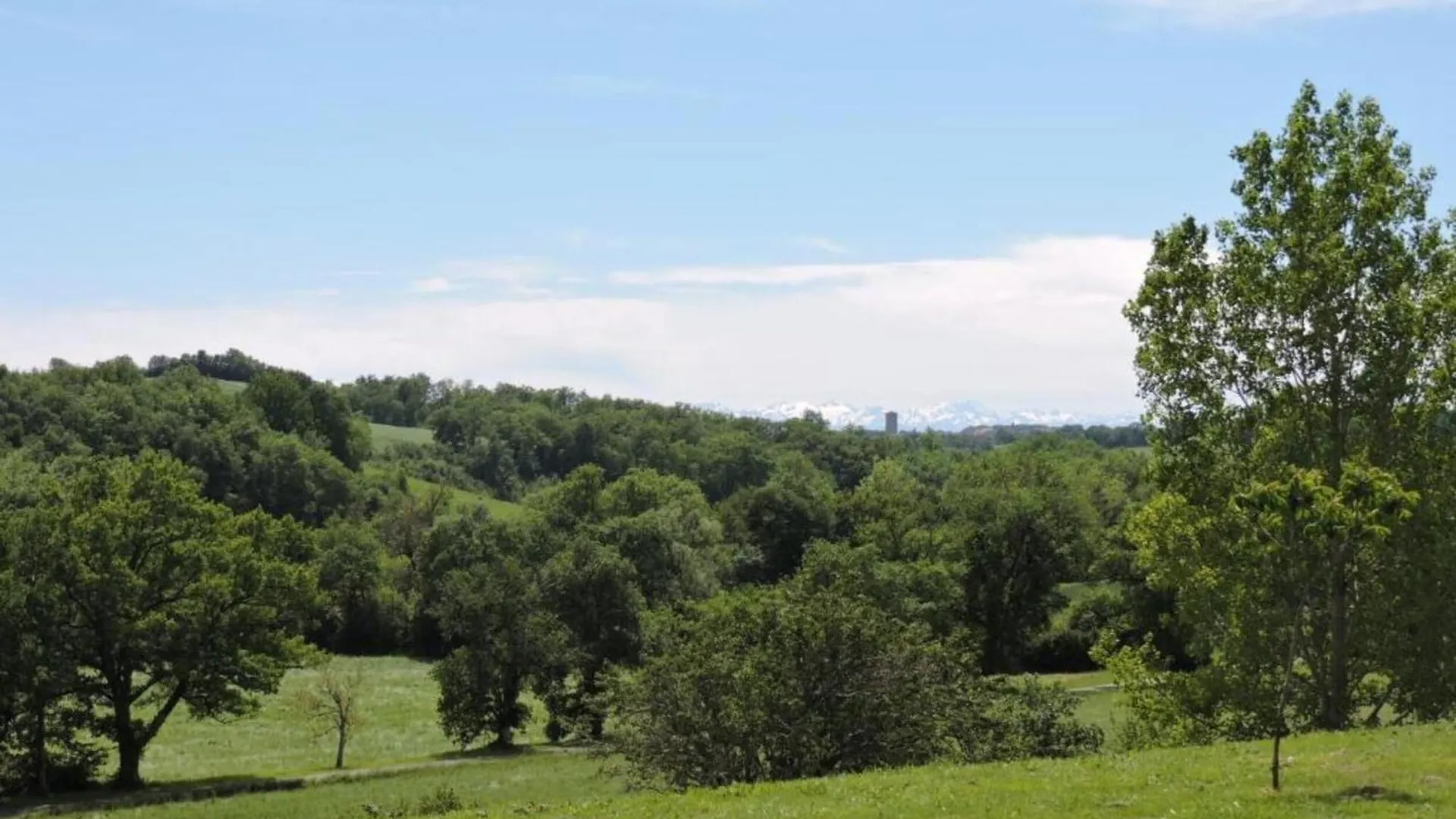 Spacious Holiday Home With Shared Pool Peyrusse-Grande